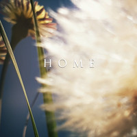 Graceland - Home