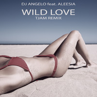 DJ Angelo - Wild Love
