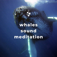 Underwater World - Whales Sound Meditation