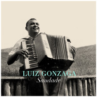 Luiz Gonzaga - Saudade