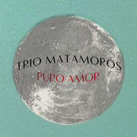 Trio Matamoros - Puro Amor