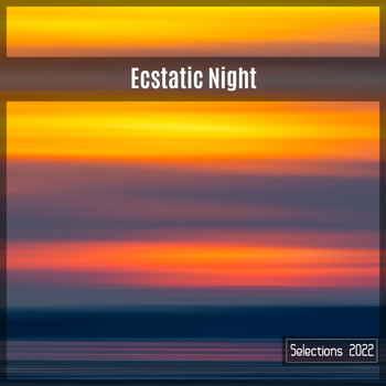 Various Artists - Ecstatic Night Selections 2022