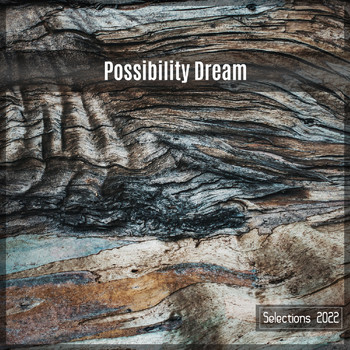 Various Artists - Possibility Dream Selections 2022