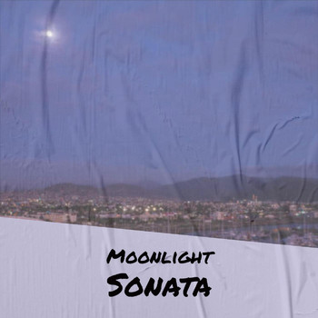 Various Artist - Moonlight Sonata