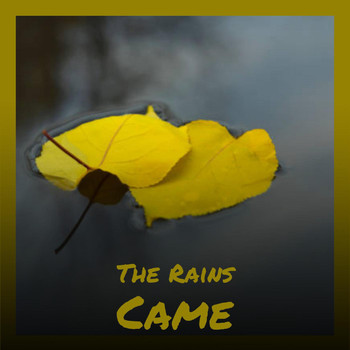 Various Artist - The Rains Came