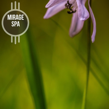 Various Artists - Mirage Spa
