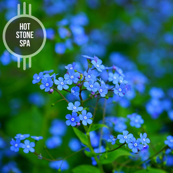 Various Artists - Hot Stone Spa
