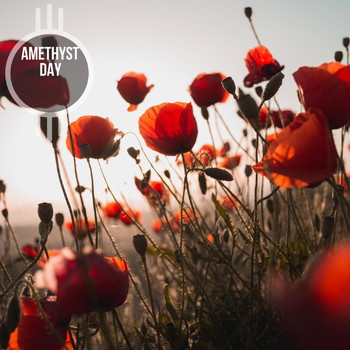 Various Artists - Amethyst Day