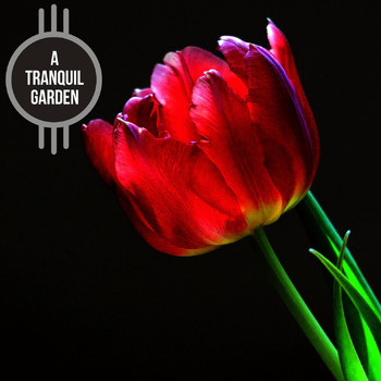 Various Artists - A Tranquil Garden