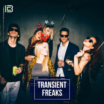 Various Artists - Transient Freaks