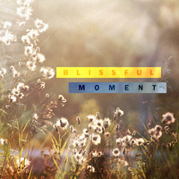 TFM - Blissful Moment