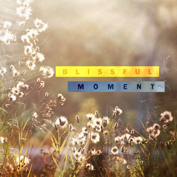 TFM - Blissful Moment