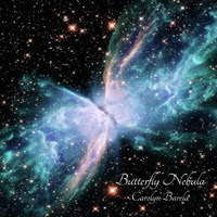 Carolyn Barela - Butterfly Nebula