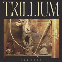 Sun Silo - Trillium