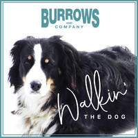 Burrows and Company - Walkin' the Dog