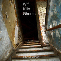 Chris Pellnat - Wifi Kills Ghosts