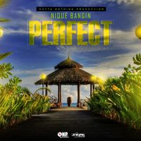 Nique Bangin - Perfect