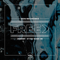 Debrief - If You Want Me (Original Mix)