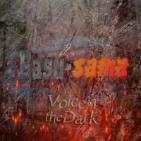 Voice in the Dark - Basu-sama
