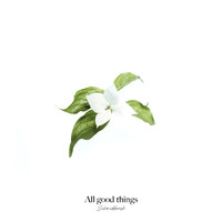 Schmiddunsk - All good things