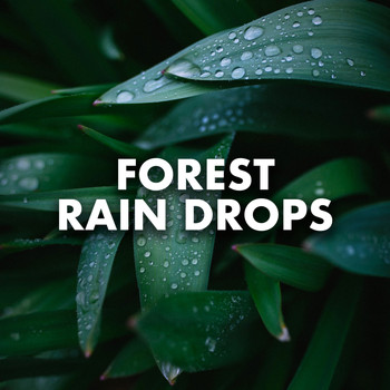 Deep Sleep - Forest Rain Drops