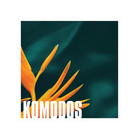 Komodos - Paris by Night