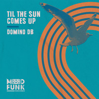 Domino DB - Til The Sun Comes Up