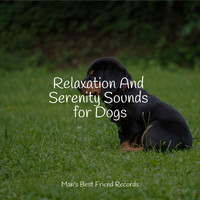 Relaxing Music for Dogs, Music For Dogs, Music for Dogs Collective - Relaxation And Serenity Sounds for Dogs