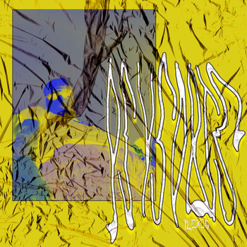 PLEXØS - Psysorts (Explicit)
