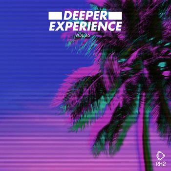 Various Artists - Deeper Experience, Vol. 36