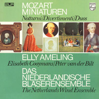Netherlands Wind Ensemble - Mozart: Divertimenti & Duos I (Netherlands Wind Ensemble: Complete Philips Recordings, Vol. 6)
