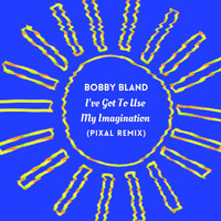 Bobby Bland - I've Got To Use My Imagination (Pixal Remix)