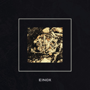 Einox - Implementation