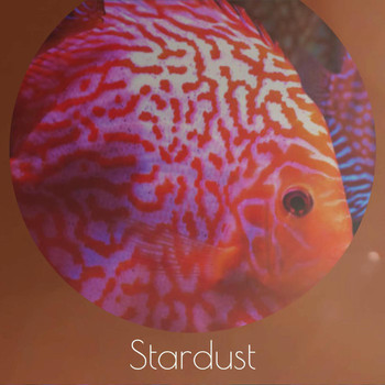Various Artist - Stardust