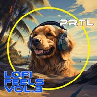 PRTL - Lofi Feels Vol 3