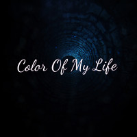 Anıl Aykurt - Color Of My Life