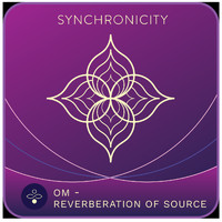 SYNCHRONICITY - Om - The Reverberation of Source