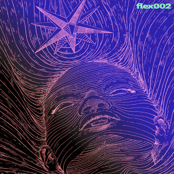 Various Artists - Flex002