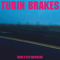 Turin Brakes - Up for Grabs
