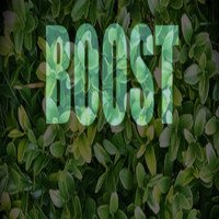 Boost - Not Feeling