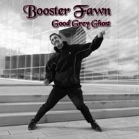 Booster Fawn - Good Grey Ghost
