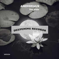 Aminohaus - The Feels