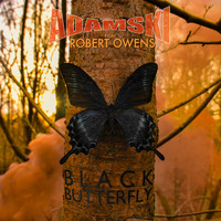 Adamski - Black Butterfly