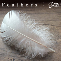Sybille - Feathers (Explicit)