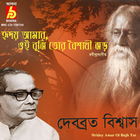 Debabrata Biswas - Hridoy Amar Oi Bujh Tor