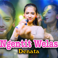 Denata - Ngentit Welas