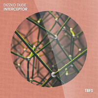 Dizzko Dude - Interceptor
