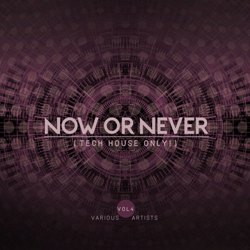 Various Artists - Now Or Never, Vol. 4 (Tech House ONLY!)