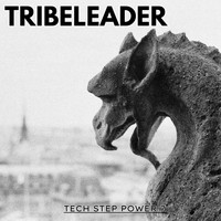 Tribeleader - TECH STEP POWER 7