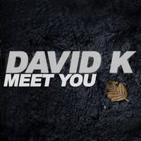David K - Meet You (Remixes)